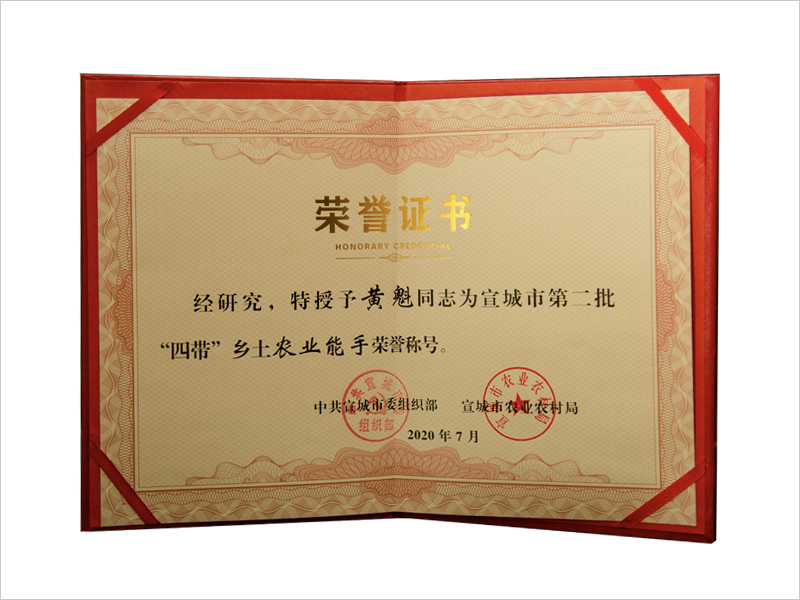 荣誉证书