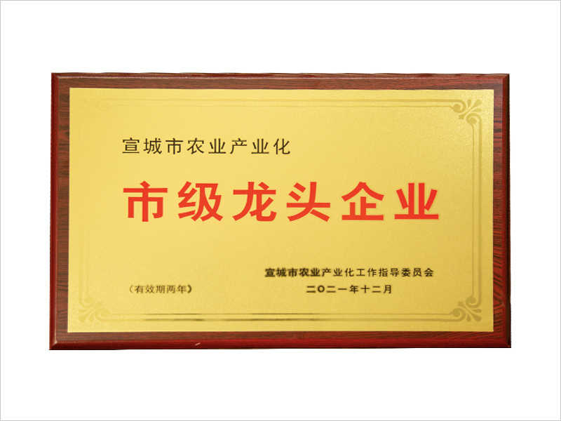 市级龙头企业