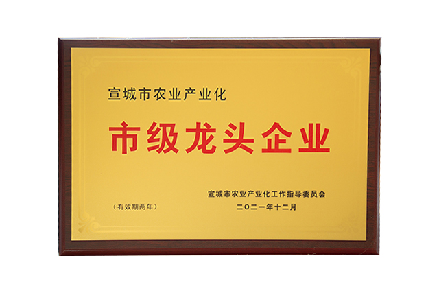 市级龙头企业