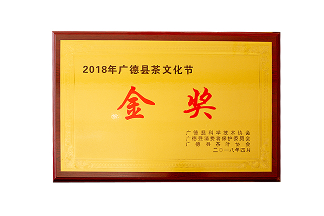 金奖(2018年)