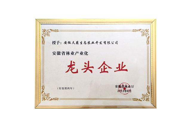 龙头企业