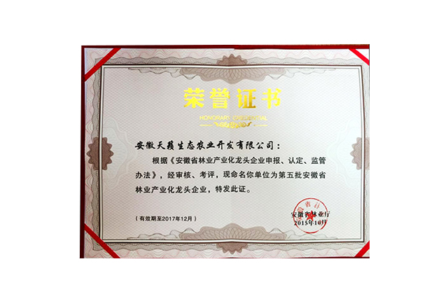 荣誉证书