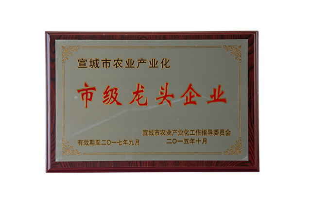 市级龙头企业(2015-2017)