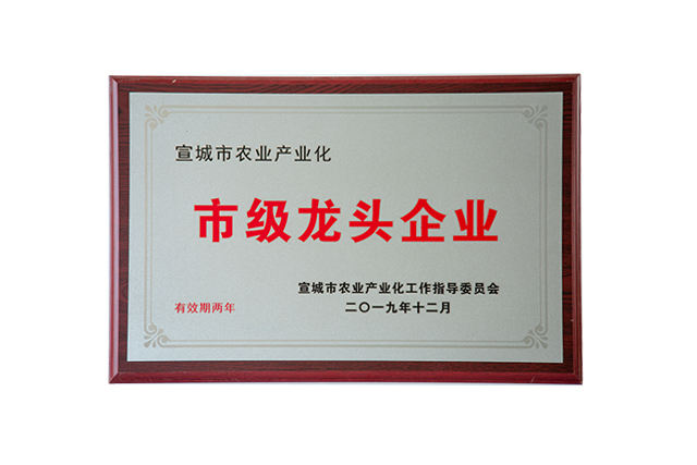 市级龙头企业(2019-2020)