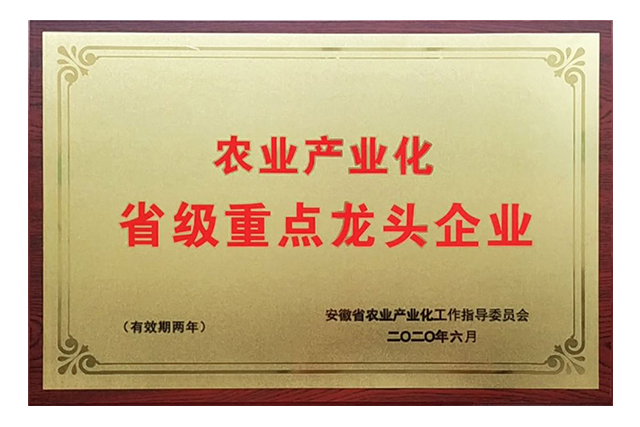 省级重点龙头企业