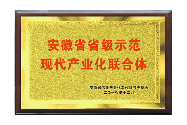 安徽省省级示范现代产业化联合体