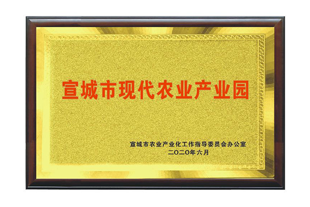 宣城市现代农业产业园