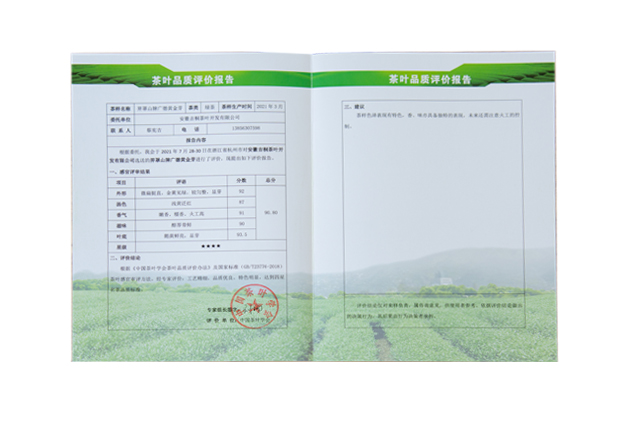 茶叶品质评估报告