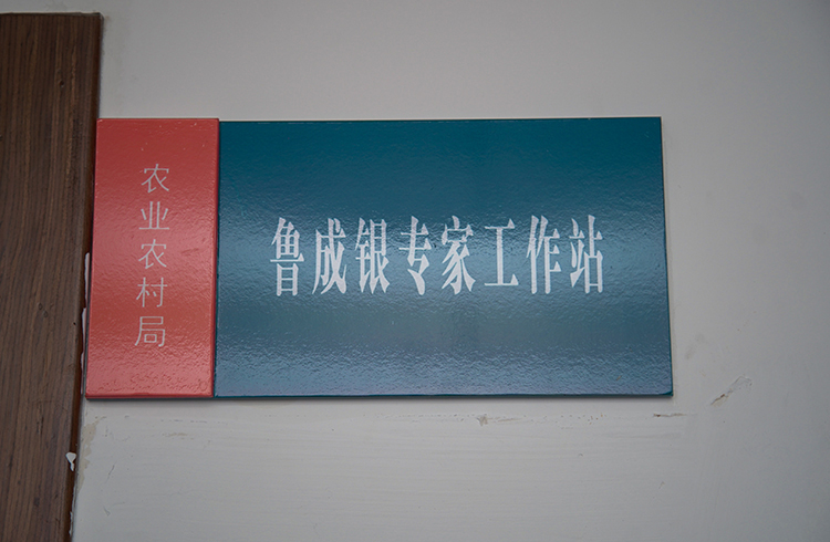 各类活动照