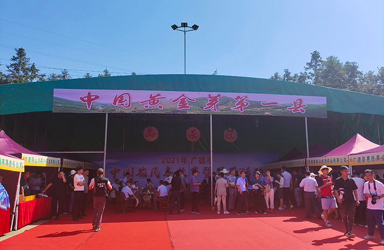 各类活动照