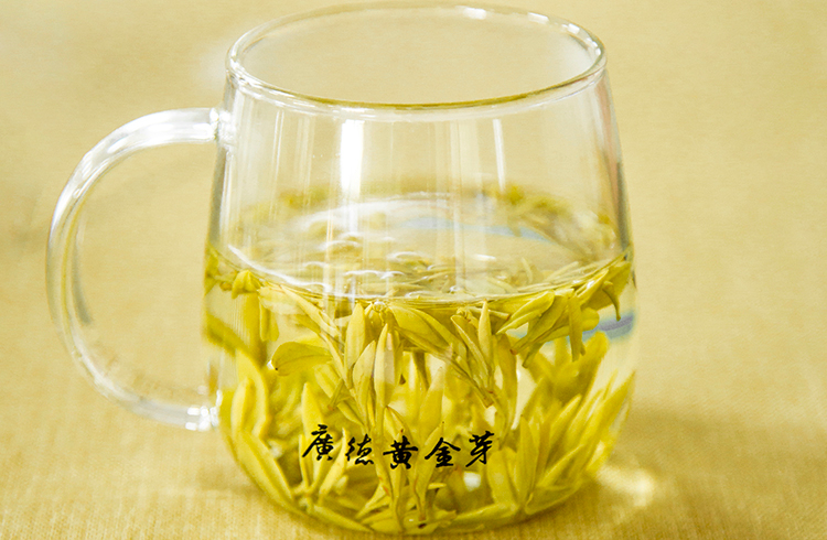 广德黄金芽